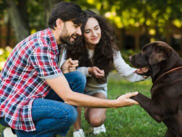 MSD Animal Health y la eliminación de la rabia