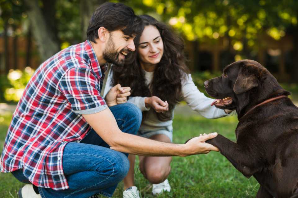 MSD Animal Health y la eliminación de la rabia