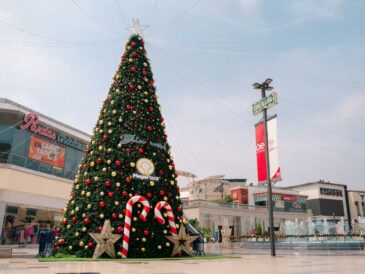 Actividades gratis en Parque La Molina, MegaPlaza y Larcomar