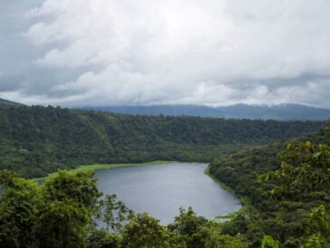 Amenazas a territorios indígenas: Perú entre los focos críticos