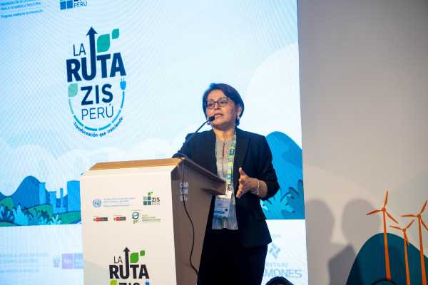 Proyecto ZIS Perú cierra con éxito primera fase