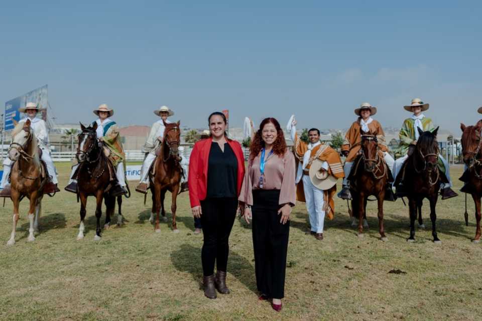 Andar del Caballo Peruano de Paso es hereditario
