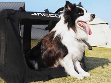 Movilidad inteligente y estilo de vida en Perú