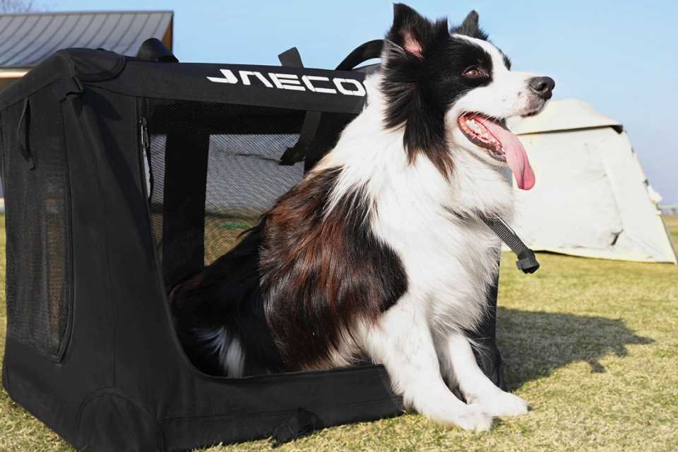 Movilidad inteligente y estilo de vida en Perú