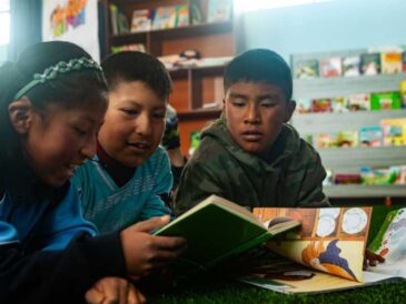 Guía completa sobre conectividad y educación en regiones altoandinas