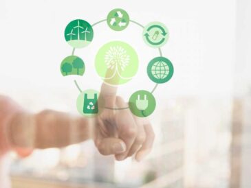 Día Mundial de la Reducción de CO₂: Por una menosr huella de carbono