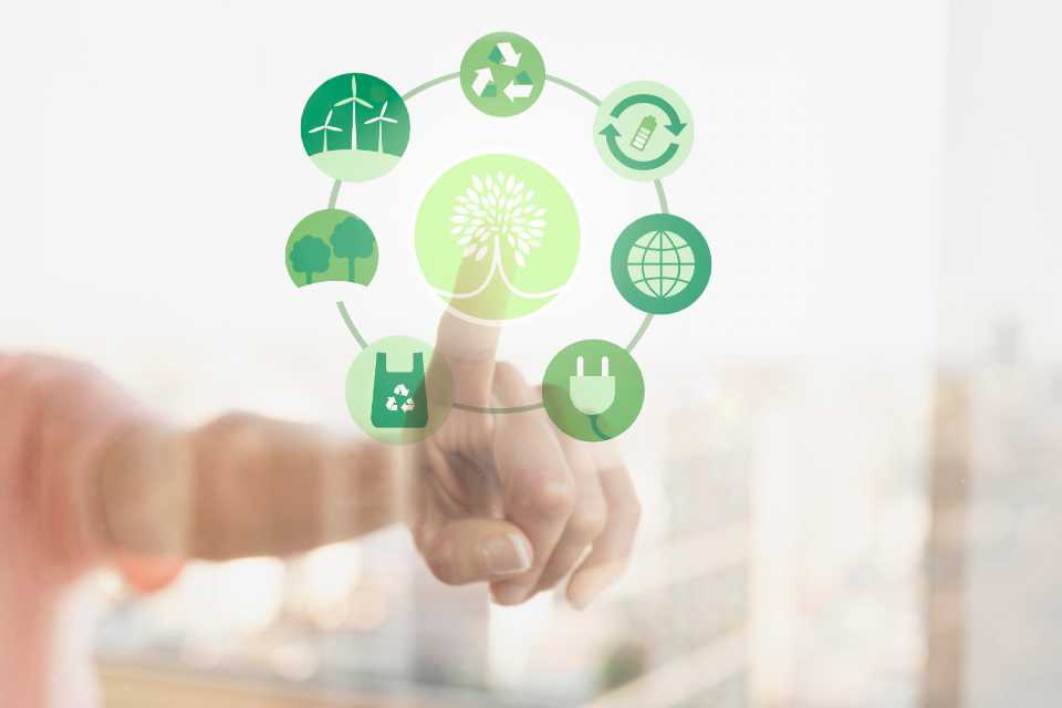 Día Mundial de la Reducción de CO₂: Por una menosr huella de carbono