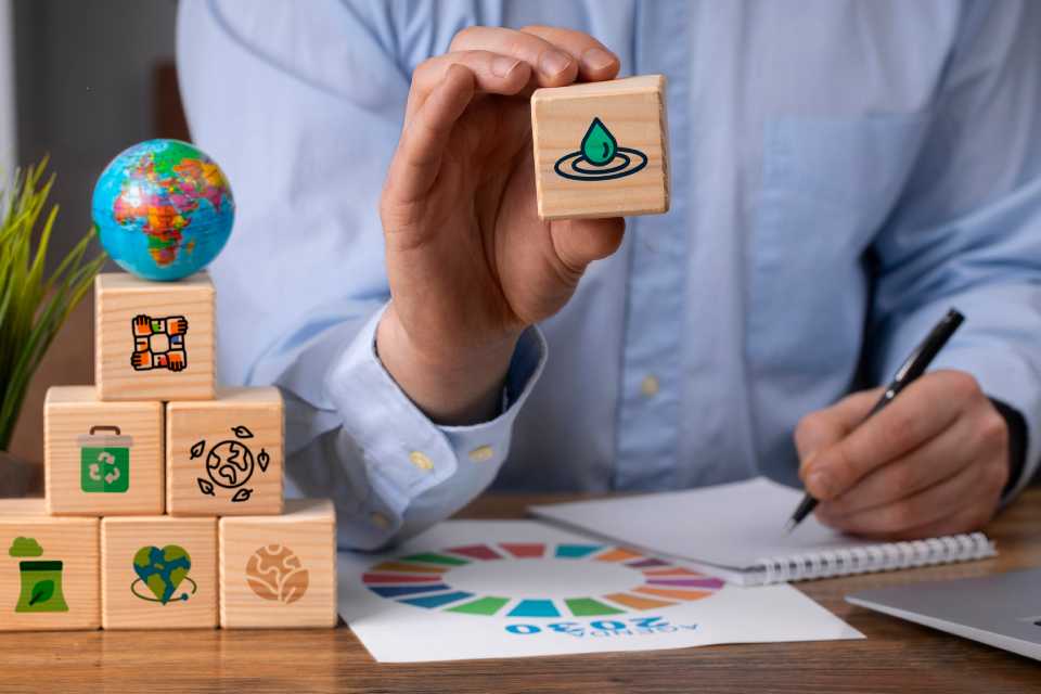 Día de la Educación Ambiental: impulsando la sostenibilidad