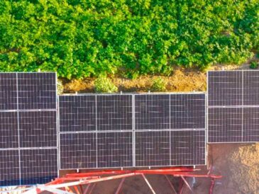 Entel amplía su apuesta por la cogeneración solar