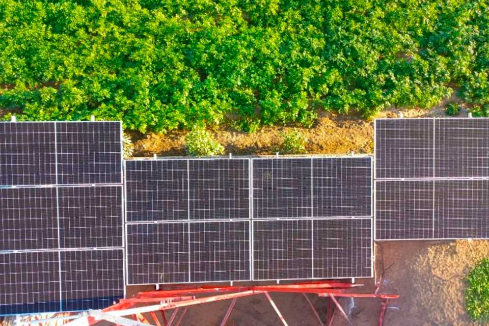 Entel amplía su apuesta por la cogeneración solar