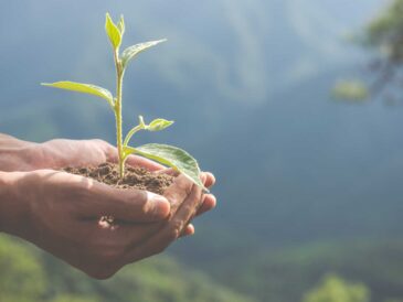 MiRegiónMiData: datos abiertos sobre inversión y ambiente