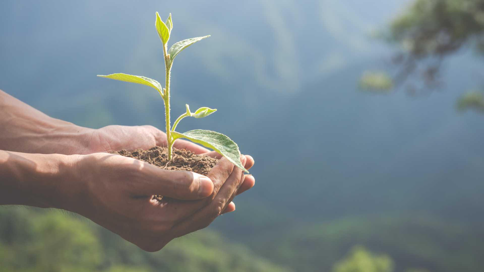 MiRegiónMiData: datos abiertos sobre inversión y ambiente