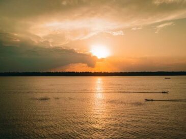 Natura lidera ranking ESG con adopción digital IFRS S1 y S2 en 2026