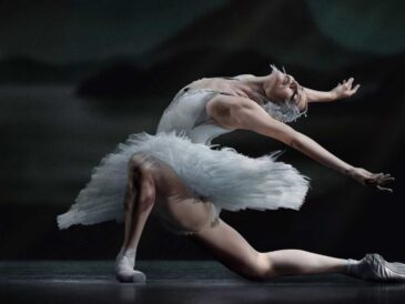 El Lago de los Cisnes agota entradas: Nuevas funciones