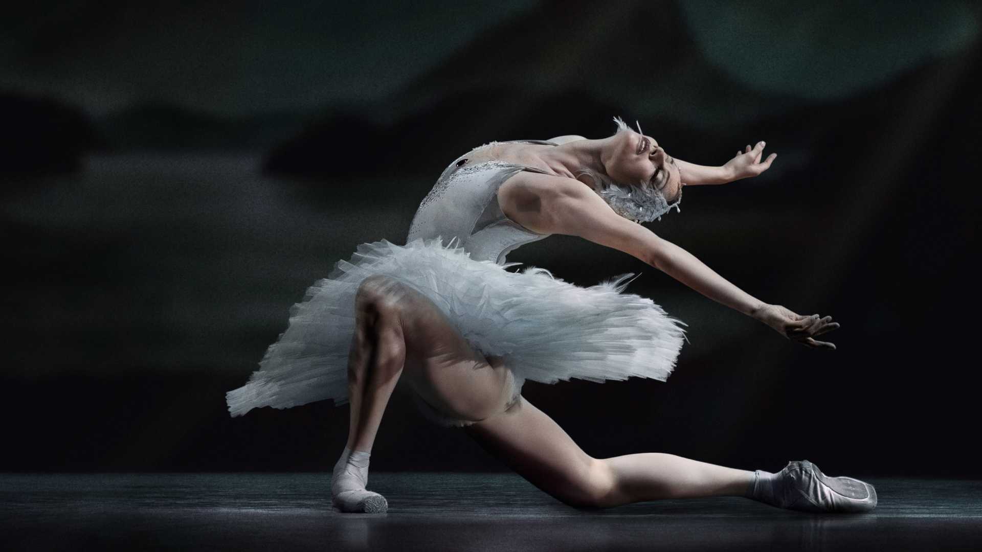 El Lago de los Cisnes agota entradas: Nuevas funciones