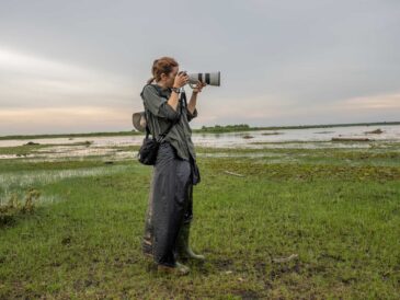 National Geographic migra 15 petabytes a AWS con IA