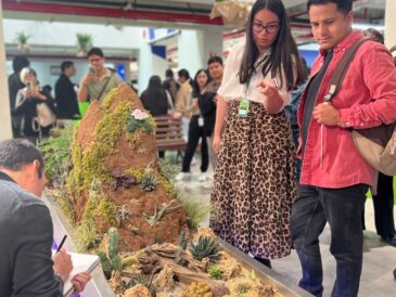 Plantemos Fest 2026 abre registro online gratuito