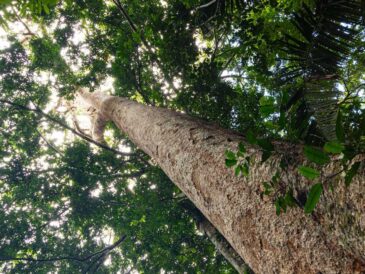 ARBIO impulsa modelo AMA para empresas