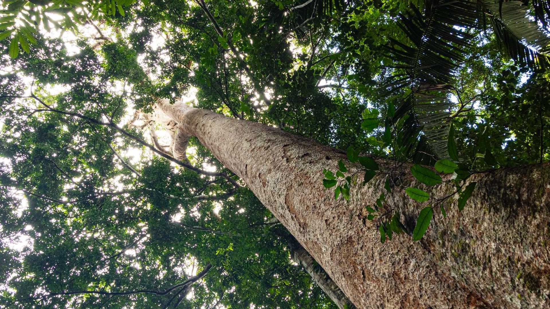 ARBIO impulsa modelo AMA para empresas