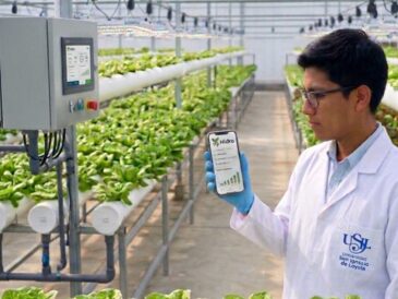 App hidropónica peruana gana concurso de Harvard 2026