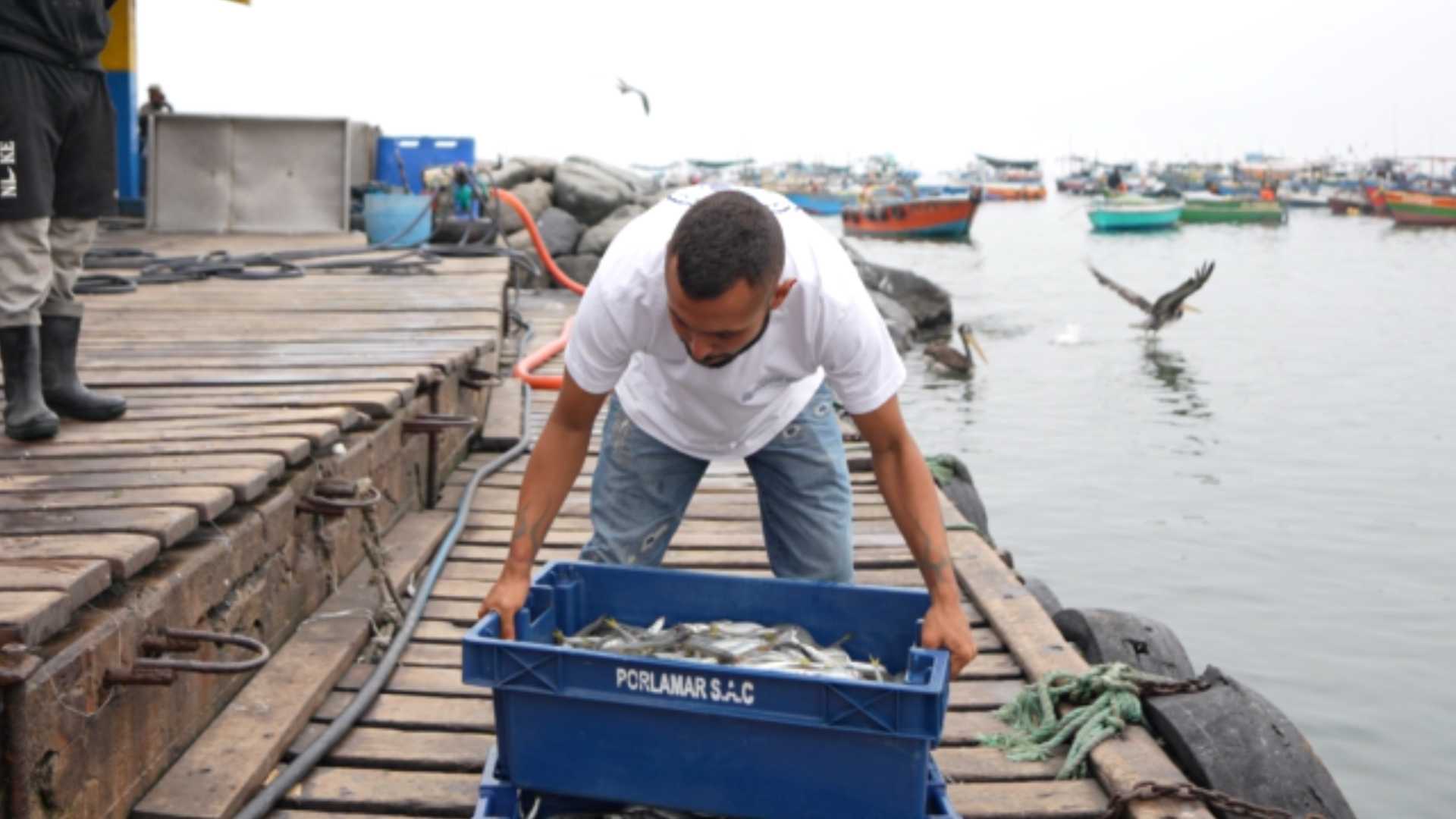 Emprendimiento digital en Perú: claves para crecer de forma sostenible