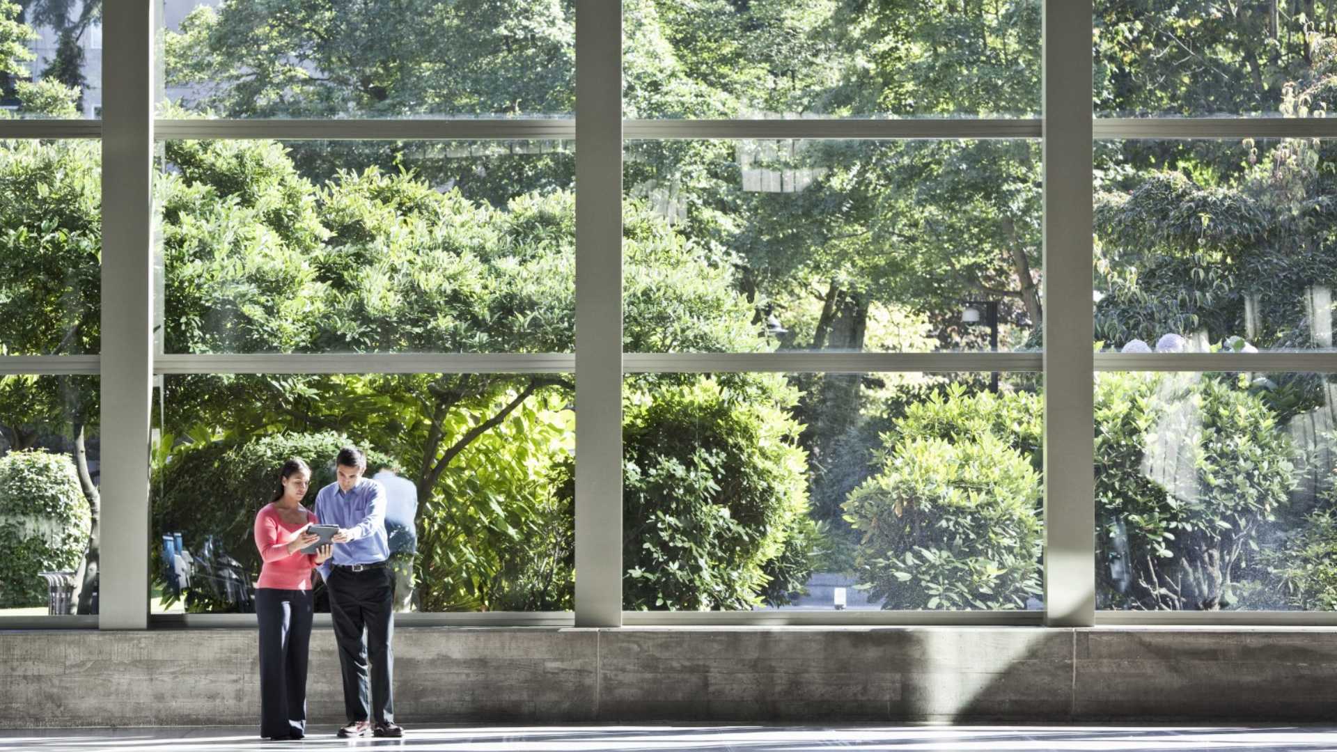 Políticas urbanas impulsan tech verde en edificios