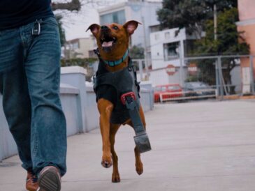 Proyectos peruanos con IA y 3D impulsan innovación social