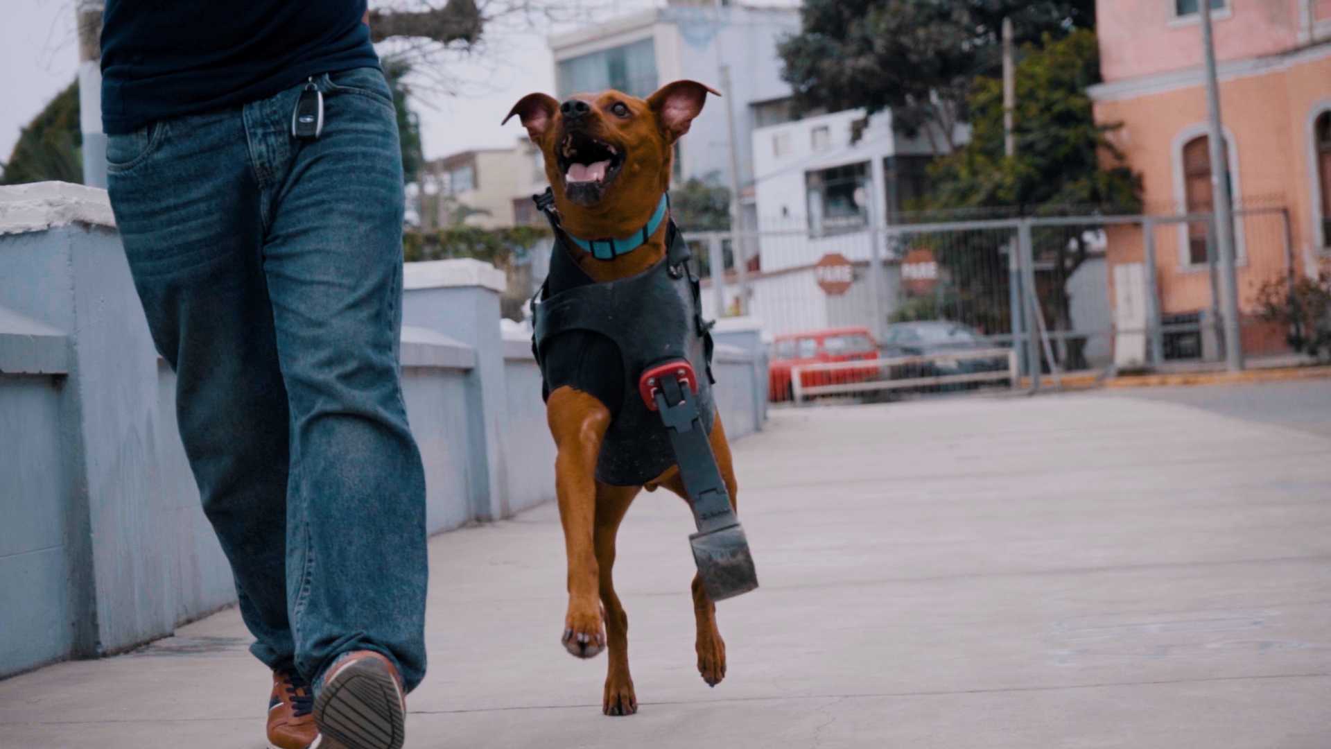 Proyectos peruanos con IA y 3D impulsan innovación social