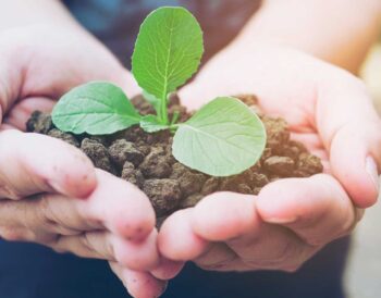 Gestión de residuos en Perú: avance hacia modelos Zero Waste en 2026