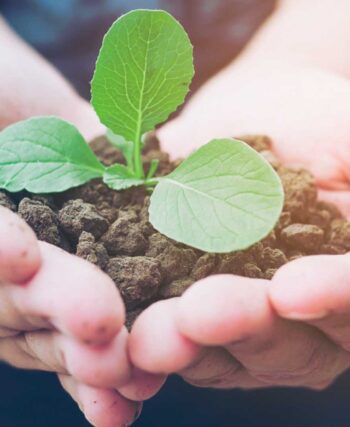 Gestión de residuos en Perú: avance hacia modelos Zero Waste en 2026