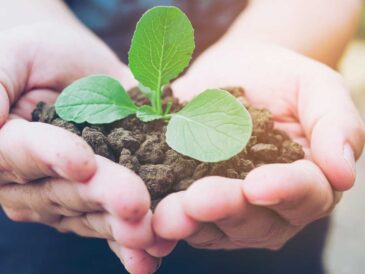 Gestión de residuos en Perú: avance hacia modelos Zero Waste en 2026