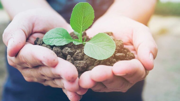 Gestión de residuos en Perú: avance hacia modelos Zero Waste en 2026