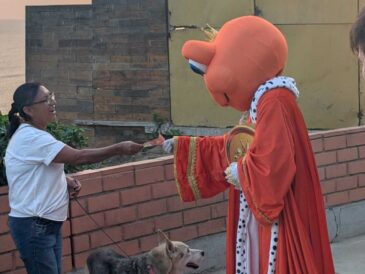 Rey Sapo aparece y sorprende regalando dinero en efectivo