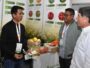 Premio Avonni-CCL abre postulaciones 2026 en su cuarta edición