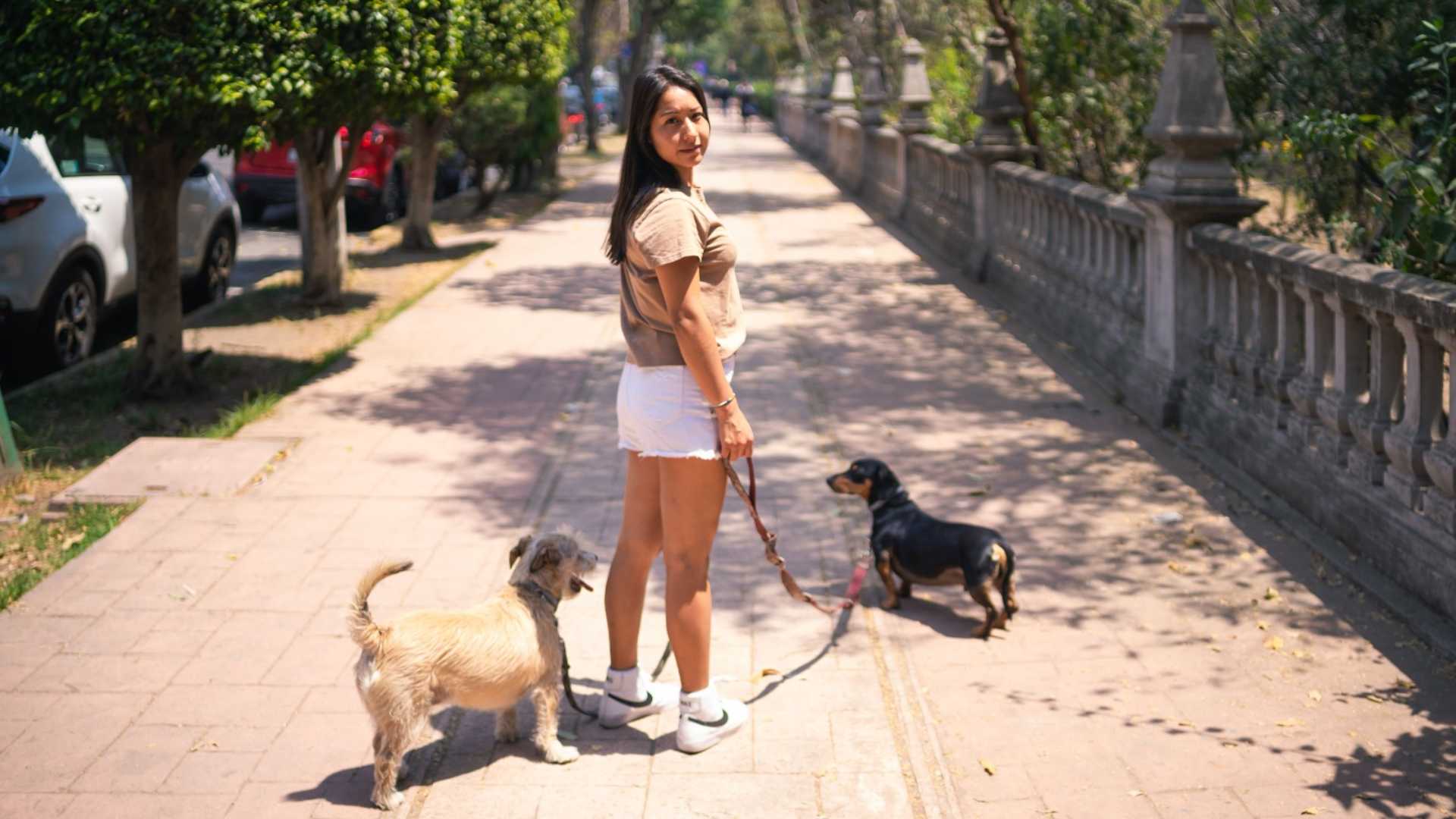 Buzzmonitor revela tendencias digitales del mercado pet en Perú 2026