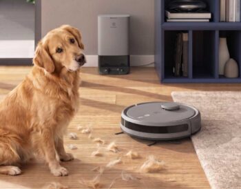 Limpieza digital para perros que mudan pelo
