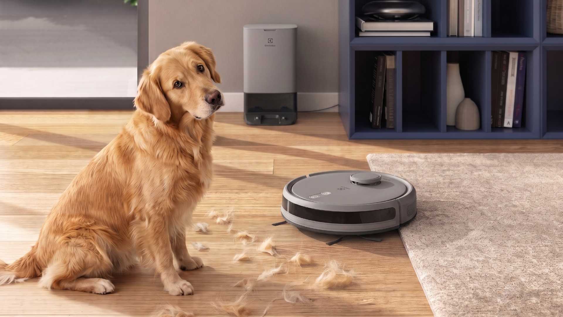 Limpieza digital para perros que mudan pelo