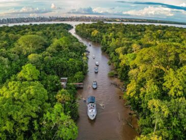 Turismo en Belém: chocolate amazónico y arte flotante