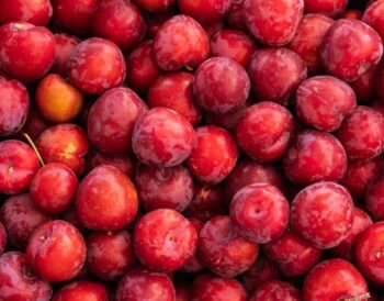 Buzzmonitor revela tendencias digitales en alimentación