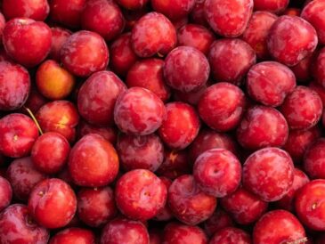 Buzzmonitor revela tendencias digitales en alimentación