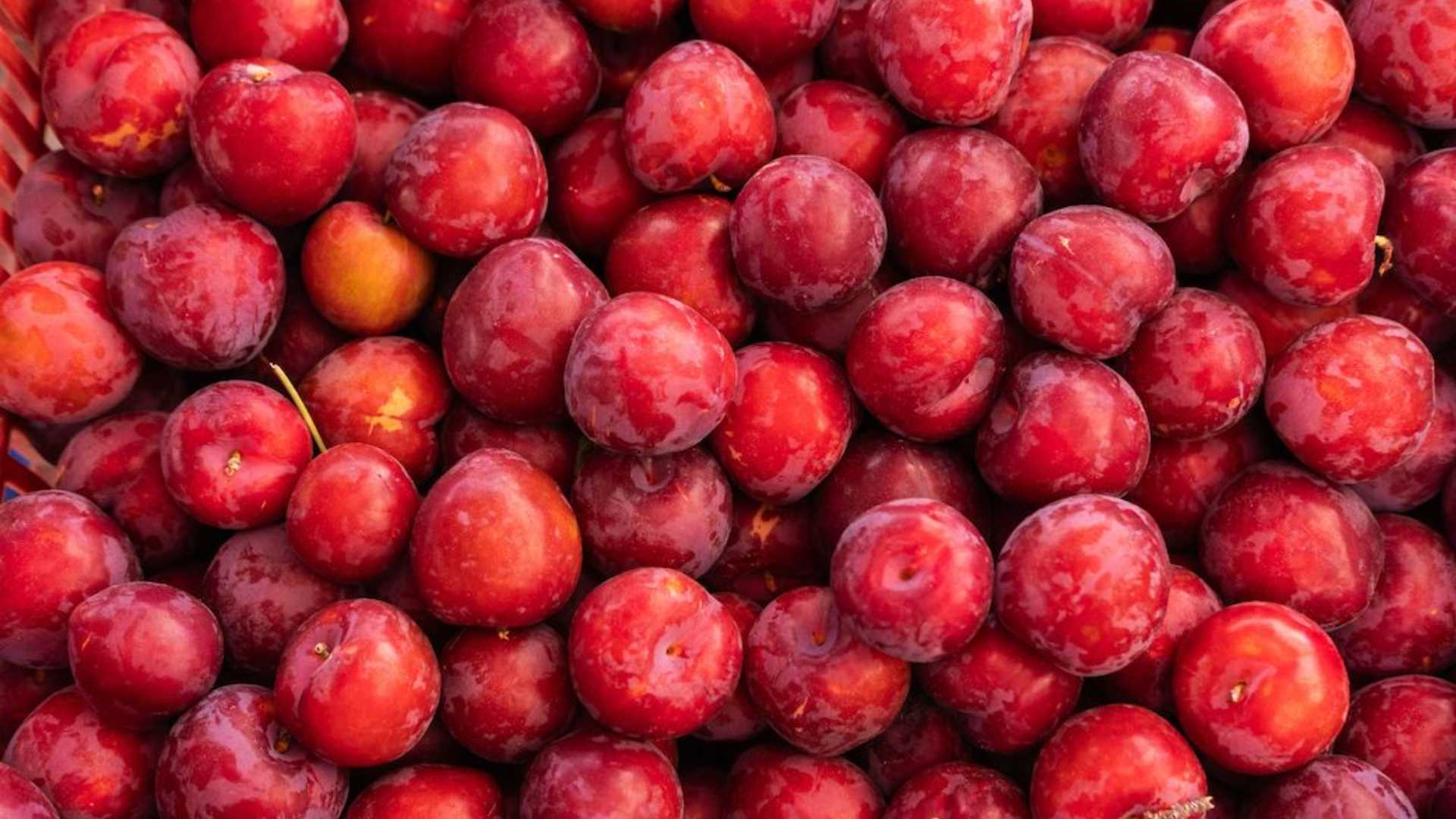 Buzzmonitor revela tendencias digitales en alimentación