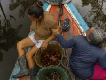 Natura lanza una startup de bioingredientes para conectar sus cadenas sostenibles en la Amazonía con el mercado global