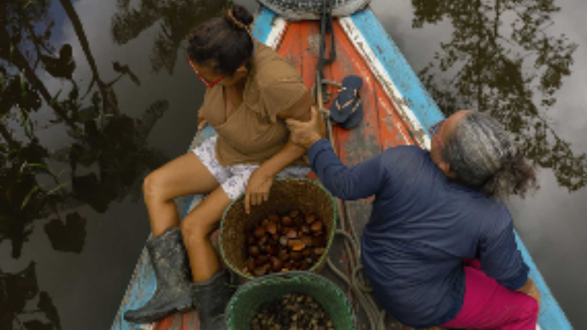 Natura lanza una startup de bioingredientes para conectar sus cadenas sostenibles en la Amazonía con el mercado global