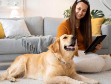 ¿Convives con perros o gatos? Así puedes reducir los alérgenos en casa