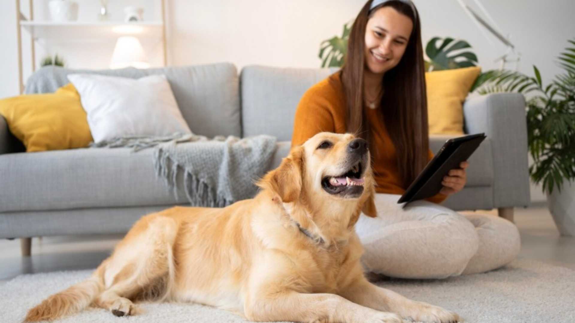 ¿Convives con perros o gatos? Así puedes reducir los alérgenos en casa