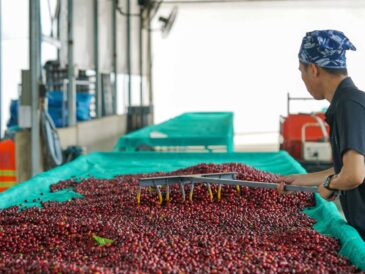 CADE Ejecutivos 2026 analizará la concentración económica y las brechas regionales en el Perú