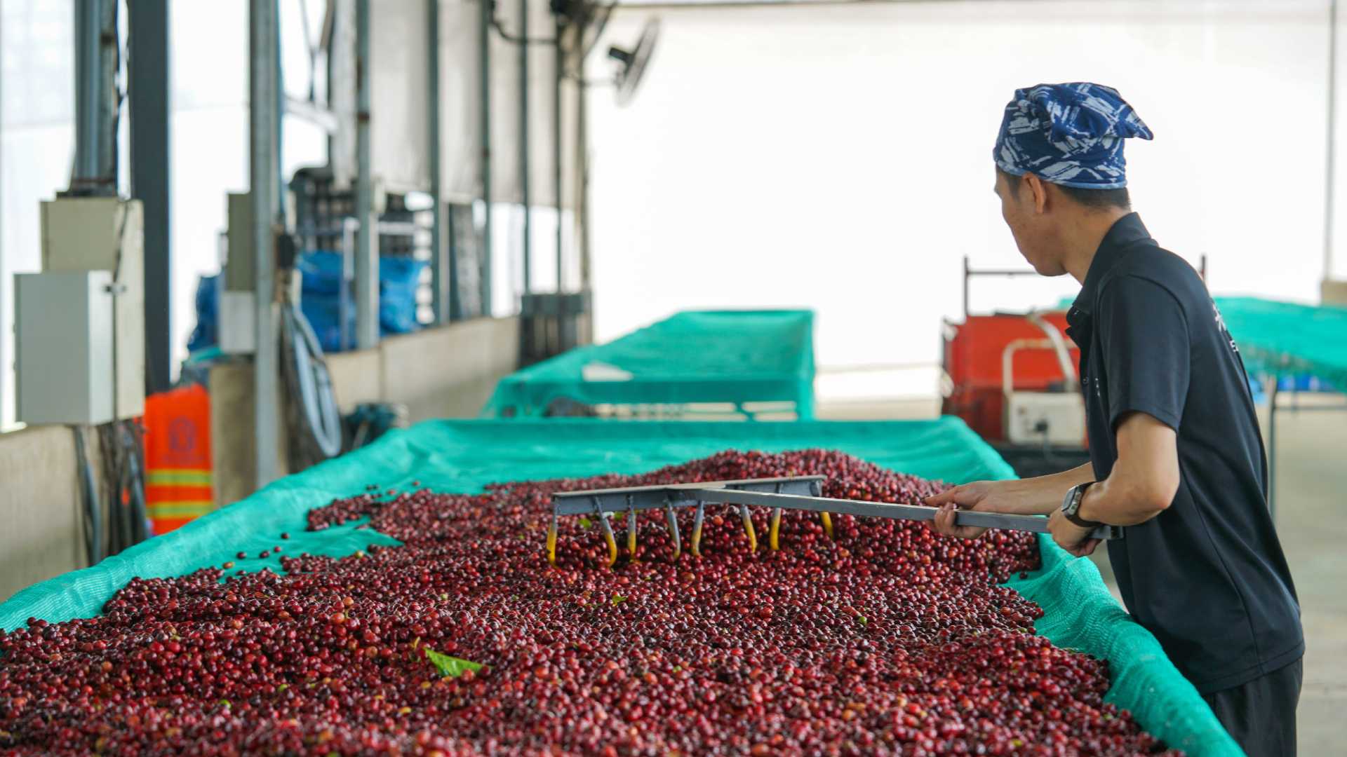 CADE Ejecutivos 2026 analizará la concentración económica y las brechas regionales en el Perú