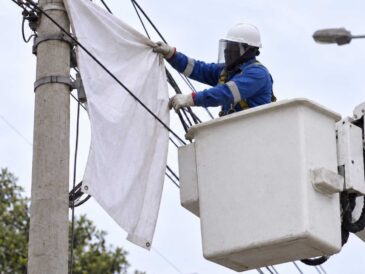 Luz del Sur advierte sobre riesgos eléctricos por propaganda electoral cerca de redes de alta tensión