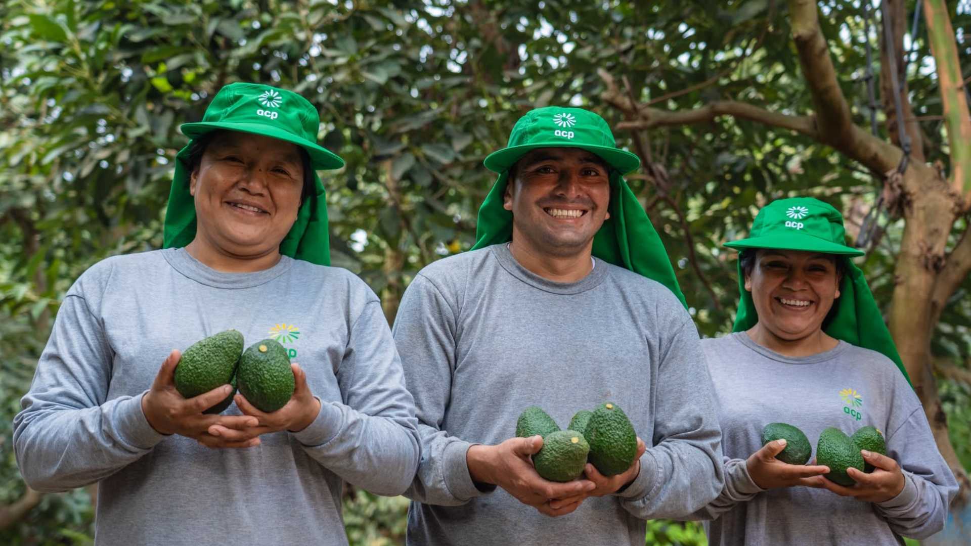 Premio Avonni-CCL y Agrícola Cerro Prieto se unen para impulsar la innovación que transformará el futuro del agro