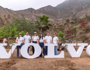 Volvo realiza la cuarta edición de su iniciativa de plantación de árboles en Lima junto a Entre Árboles